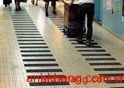 Băng keo chống trơn trượt 3M Safety-Walk